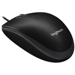 Logitech Optical USB Mouse (B100)